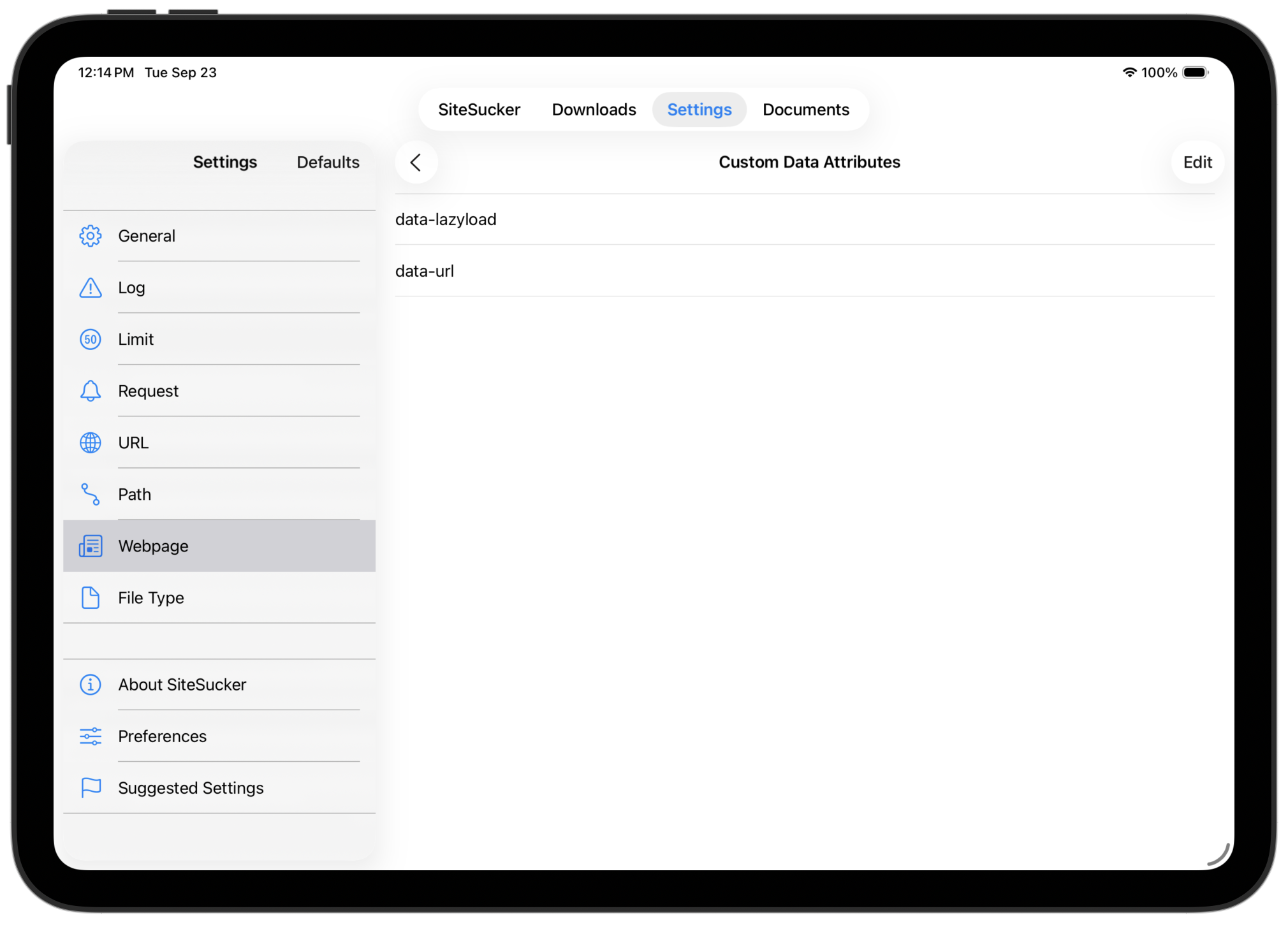 CustomDataAttributes